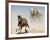 Elephant and Zebra, Etosha, 2018-Eric Meyer-Framed Photographic Print