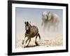 Elephant and Zebra, Etosha, 2018-Eric Meyer-Framed Photographic Print