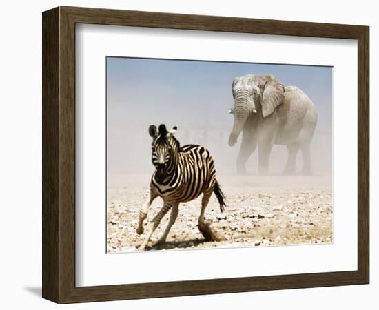 Elephant and Zebra, Etosha, 2018-Eric Meyer-Framed Photographic Print