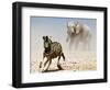 Elephant and Zebra, Etosha, 2018-Eric Meyer-Framed Photographic Print