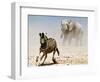 Elephant and Zebra, Etosha, 2018-Eric Meyer-Framed Photographic Print