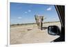 Elephant Approaches Safari Truck, Nxai Pan National Park, Botswana-Paul Souders-Framed Photographic Print