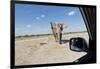Elephant Approaches Safari Truck, Nxai Pan National Park, Botswana-Paul Souders-Framed Photographic Print