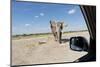 Elephant Approaches Safari Truck, Nxai Pan National Park, Botswana-Paul Souders-Mounted Photographic Print