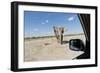 Elephant Approaches Safari Truck, Nxai Pan National Park, Botswana-Paul Souders-Framed Photographic Print