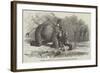 Elephant Assisting to Lay Down Water-Pipes Near Kandy, in Ceylon-null-Framed Giclee Print