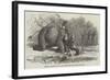 Elephant Assisting to Lay Down Water-Pipes Near Kandy, in Ceylon-null-Framed Giclee Print