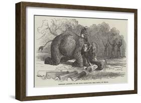 Elephant Assisting to Lay Down Water-Pipes Near Kandy, in Ceylon-null-Framed Giclee Print