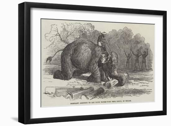 Elephant Assisting to Lay Down Water-Pipes Near Kandy, in Ceylon-null-Framed Giclee Print