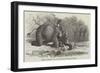 Elephant Assisting to Lay Down Water-Pipes Near Kandy, in Ceylon-null-Framed Giclee Print