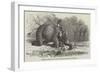 Elephant Assisting to Lay Down Water-Pipes Near Kandy, in Ceylon-null-Framed Giclee Print