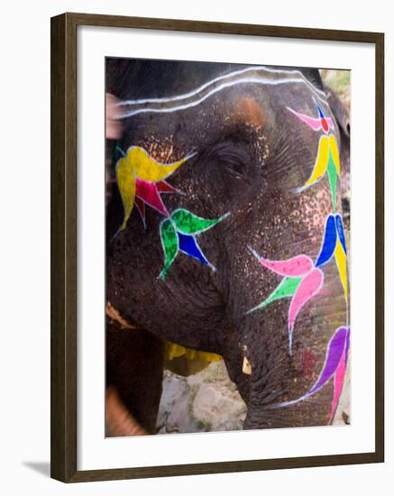 Elephant at Amber Fort, Rajasthan, Jaipur, India-Bill Bachmann-Framed Photographic Print