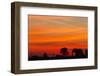 Elephant at Dusk, Nxai Pan National Park, Botswana-Paul Souders-Framed Premium Photographic Print