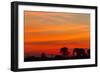 Elephant at Dusk, Nxai Pan National Park, Botswana-Paul Souders-Framed Photographic Print