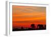 Elephant at Dusk, Nxai Pan National Park, Botswana-Paul Souders-Framed Photographic Print