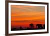 Elephant at Dusk, Nxai Pan National Park, Botswana-Paul Souders-Framed Photographic Print