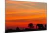 Elephant at Dusk, Nxai Pan National Park, Botswana-Paul Souders-Mounted Photographic Print