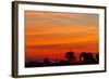 Elephant at Dusk, Nxai Pan National Park, Botswana-Paul Souders-Framed Photographic Print