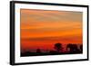 Elephant at Dusk, Nxai Pan National Park, Botswana-Paul Souders-Framed Photographic Print