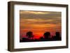 Elephant at Dusk, Nxai Pan National Park, Botswana-Paul Souders-Framed Photographic Print