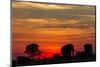 Elephant at Dusk, Nxai Pan National Park, Botswana-Paul Souders-Mounted Photographic Print