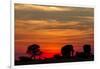 Elephant at Dusk, Nxai Pan National Park, Botswana-Paul Souders-Framed Photographic Print