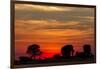 Elephant at Dusk, Nxai Pan National Park, Botswana-Paul Souders-Framed Photographic Print