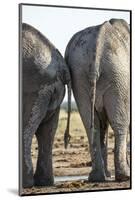 Elephant at Water Hole, Nxai Pan National Park, Botswana-Paul Souders-Mounted Photographic Print