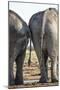 Elephant at Water Hole, Nxai Pan National Park, Botswana-Paul Souders-Mounted Photographic Print