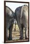 Elephant at Water Hole, Nxai Pan National Park, Botswana-Paul Souders-Framed Photographic Print