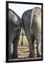 Elephant at Water Hole, Nxai Pan National Park, Botswana-Paul Souders-Framed Photographic Print