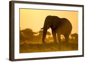 Elephant at Water Hole, Nxai Pan National Park, Botswana-Paul Souders-Framed Photographic Print