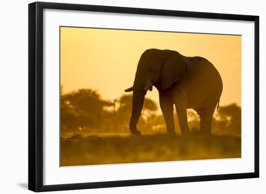 Elephant at Water Hole, Nxai Pan National Park, Botswana-Paul Souders-Framed Photographic Print