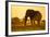 Elephant at Water Hole, Nxai Pan National Park, Botswana-Paul Souders-Framed Photographic Print