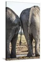Elephant at Water Hole, Nxai Pan National Park, Botswana-Paul Souders-Stretched Canvas
