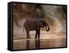 Elephant at Water Hole, South Africa-Paul Souders-Framed Stretched Canvas
