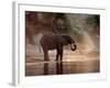 Elephant at Water Hole, South Africa-Paul Souders-Framed Photographic Print