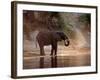 Elephant at Water Hole, South Africa-Paul Souders-Framed Photographic Print