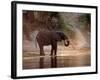 Elephant at Water Hole, South Africa-Paul Souders-Framed Photographic Print