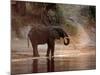 Elephant at Water Hole, South Africa-Paul Souders-Mounted Photographic Print