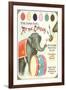 Elephant Beating Drum, Circus Painting Book-null-Framed Art Print