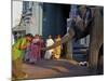 Elephant Benediction, Kamakshi Amman, Kanchipuram, Tamil Nadu, India, Asia-Tuul-Mounted Photographic Print