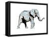 Elephant Blues-OnRei-Framed Stretched Canvas