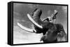 Elephant Boy, De Robertflaherty Et Zoltankorda Avec Sabu, 1937-null-Framed Stretched Canvas