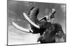 Elephant Boy, De Robertflaherty Et Zoltankorda Avec Sabu, 1937-null-Mounted Photo