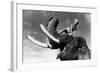 Elephant Boy, De Robertflaherty Et Zoltankorda Avec Sabu, 1937-null-Framed Photo