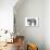 Elephant Brand French Coffee-null-Art Print displayed on a wall
