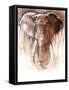 Elephant Bull-Mark Adlington-Framed Stretched Canvas