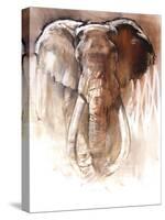 Elephant Bull-Mark Adlington-Stretched Canvas