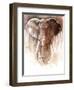 Elephant Bull-Mark Adlington-Framed Premium Giclee Print
